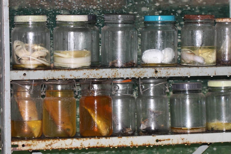 jars